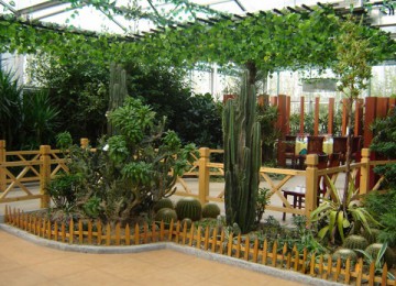 生态餐厅