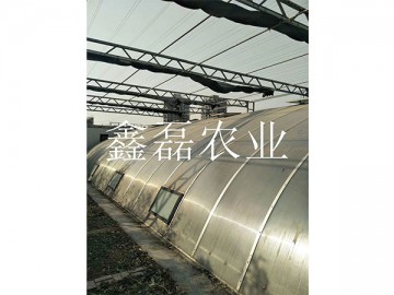 日光温室