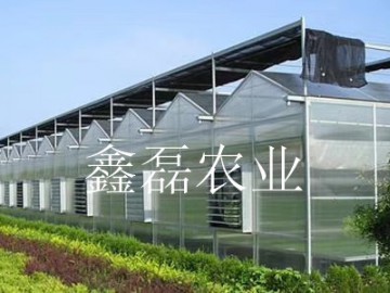 阳光板温室