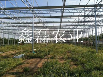 温室骨架