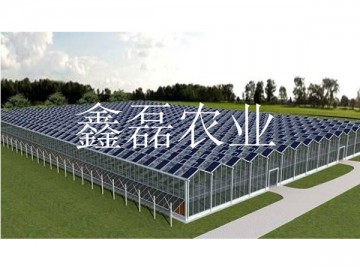 光伏板温室