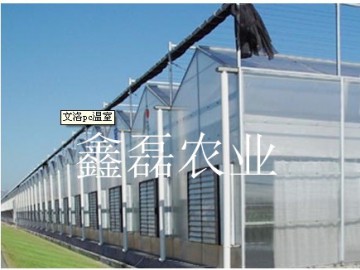阳光板温室