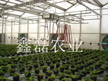 温室喷灌系统
