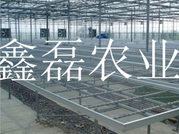 温室苗床
