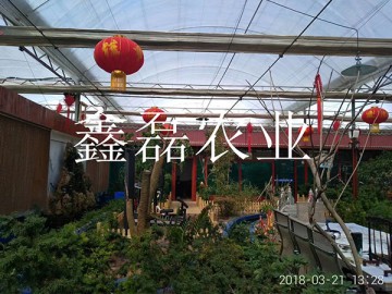 温室餐厅
