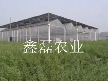 阳光板温室