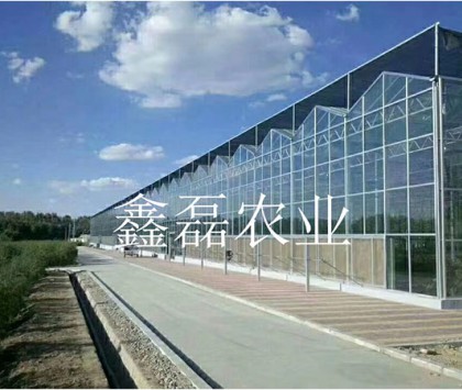 玻璃温室