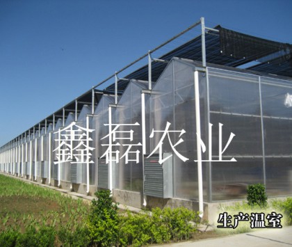 阳光板温室
