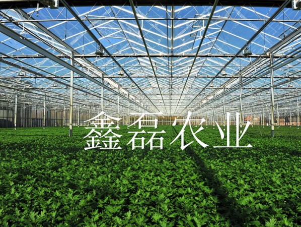 阳光板温室