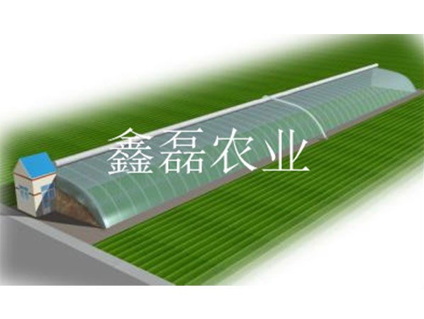 日光温室