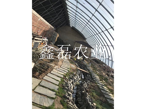 日光温室